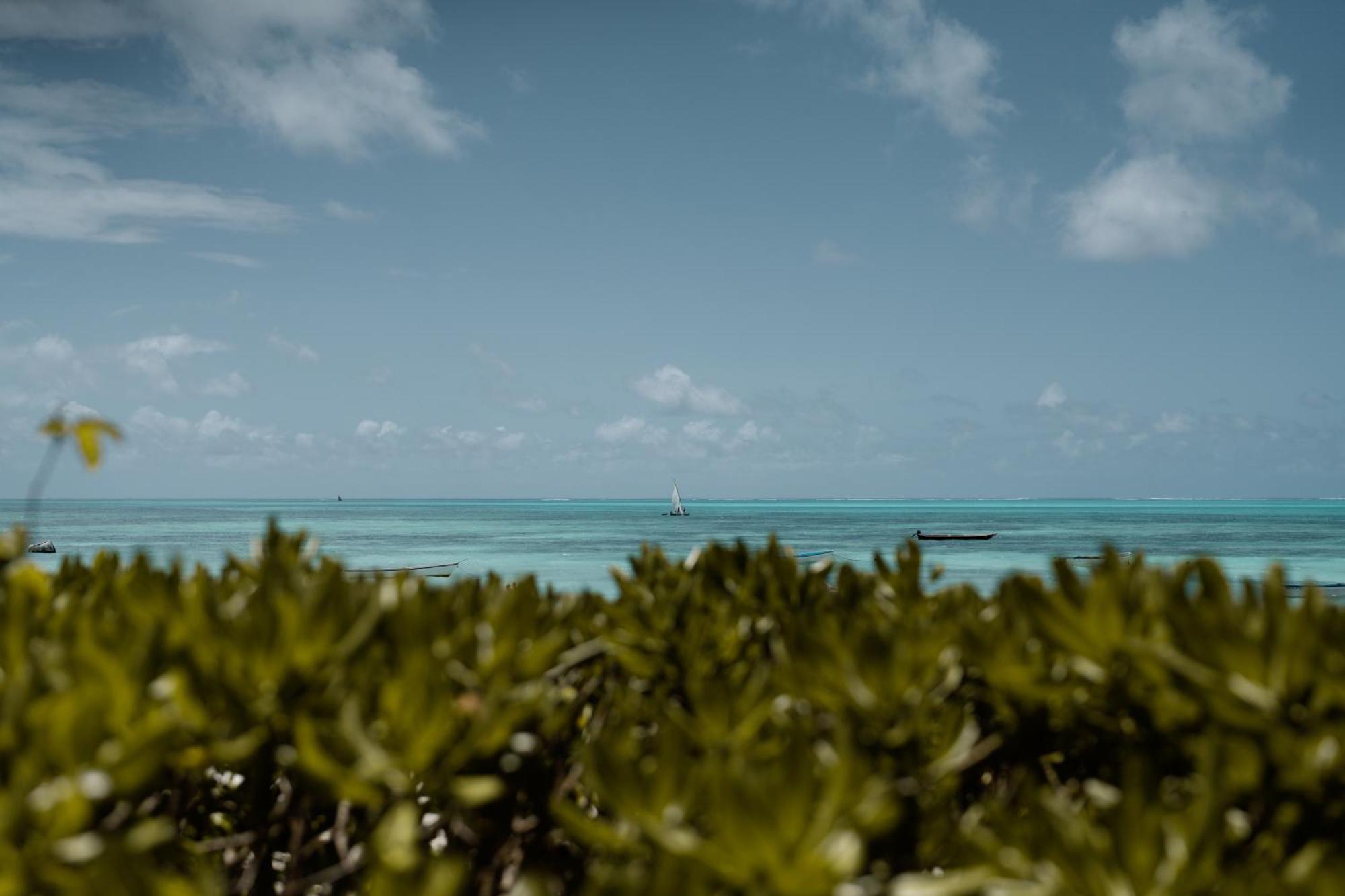 The Loop Beach Resort (Adults Only) Jambiani  Eksteriør bilde